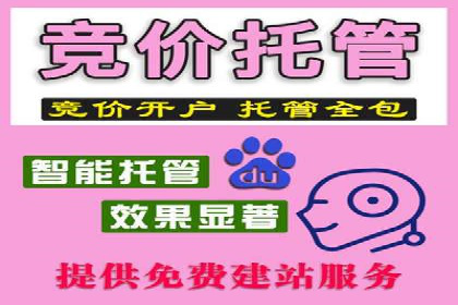 某品牌SEM代理的转化率提升之路